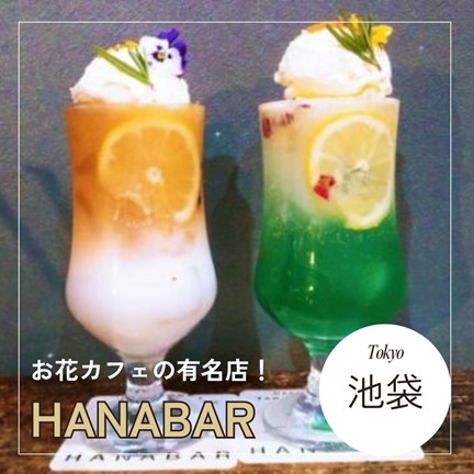 東京/池袋/豊島区【行ってみたい！お花カフェバーの有名店】HANABAR （ハナバー）：東京おしゃれカフェ巡り散歩